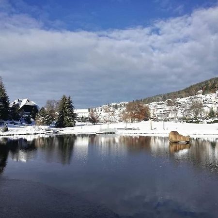 Apartament Im Salzgassle Schonach im Schwarzwald Zewnętrze zdjęcie