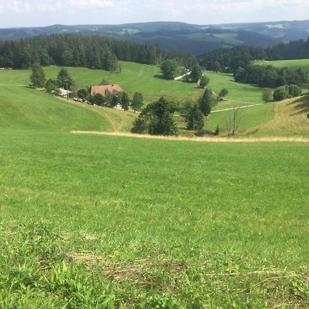 Apartament Im Salzgassle Schonach im Schwarzwald Zewnętrze zdjęcie