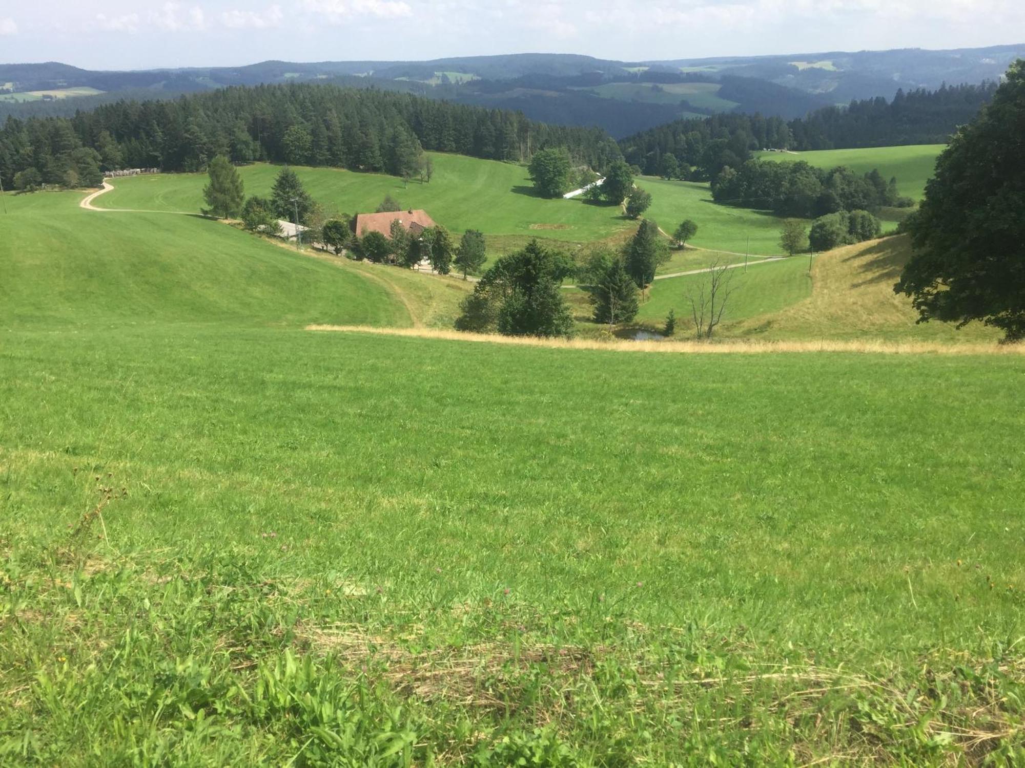 Apartament Im Salzgassle Schonach im Schwarzwald Zewnętrze zdjęcie